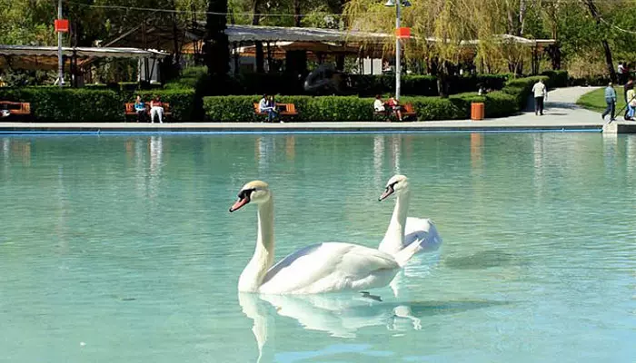 دریاچه سوان ارمنستان